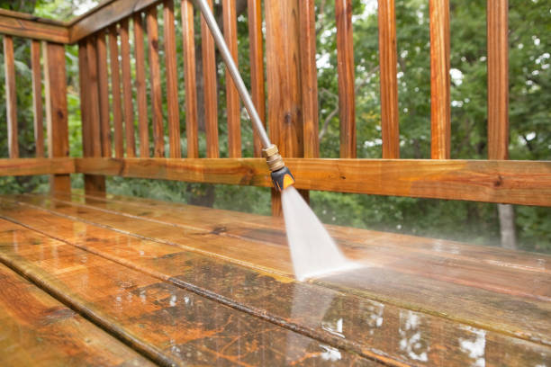Best Pressure Washing Driveway  in Anoka, MN