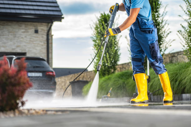Best Roof Pressure Washing  in Anoka, MN