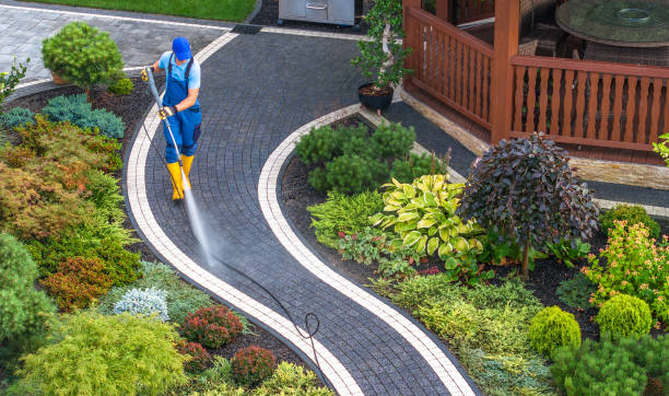 Best Deck Cleaning Services  in Anoka, MN