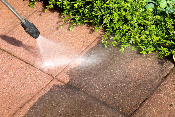 Deck Cleaning Services in Anoka, MN